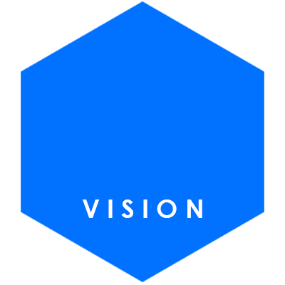 Vision